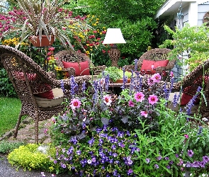 Ogród, Kwiaty, Wypoczynek