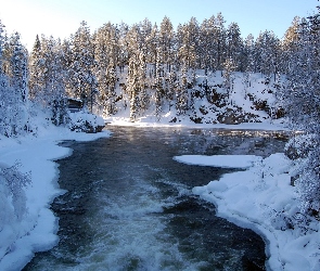 Rzeka, Śnieg, Drzewa