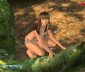 Dead Or Alive Xtreme 2, Hitomi