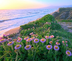 Plaża Kwiatki, Morze