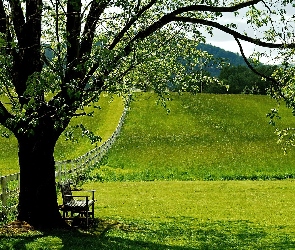 Płotek, Ławeczka, Łąka, Drzewo