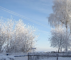 Ogrodzenie, Śnieg, Drzewa, Ośnieżone, Zima
