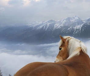 Koń, Chmury, Góry