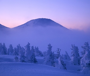 Wysokość, Las, Zaspy, Śnieg, Góra