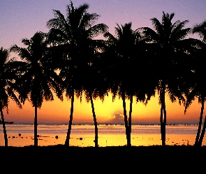 Palmy, Zachód słońca, Morze