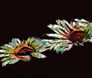 Fractalius, Kwiaty