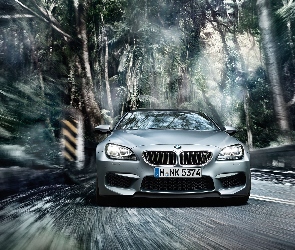 Bmw M6 GranCoupe, Przód