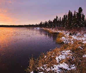 Jezioro, Śnieg, Zachód, Słońca, Las