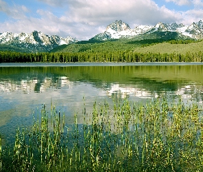 Góry, Trawa, Las, Jezioro