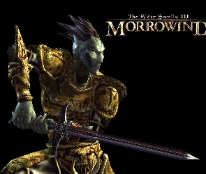 The Elder Scrolls III: Morrowind, Miecz