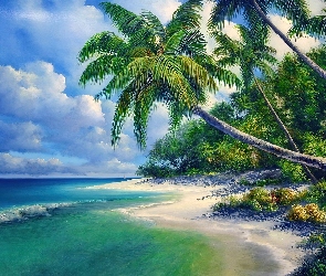 Morze Fale, Palmy, Plaża