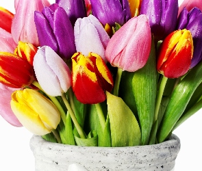 Różnokolorowe, Tulipany, Wazon