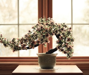 Okno, Doniczka, Drzewko, Bonsai