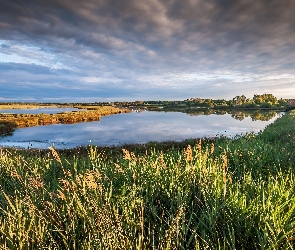 Rozległe, Niebo, Szuwary, Jezioro