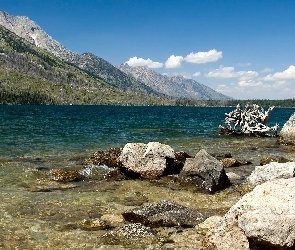 Jezioro, Wzgórza, Konar, Drzewa, Kamienie