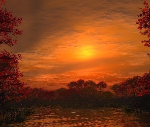 Drzewa, Jesień, Zachód Słońca