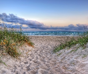 Trawa, Plaża, Chmury, Morze