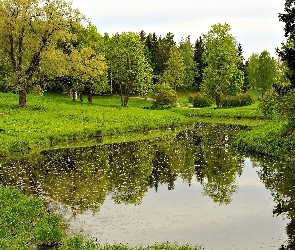 Staw, Wiosna, Drzewa, Odbicie, Park