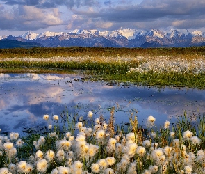Alaska, Park