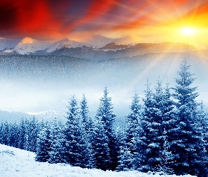 Promienie, Zima, Góry, Las, Słońca