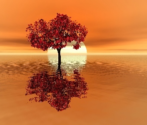 Drzewo, Jezioro, Słońca, Zachód
