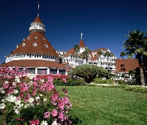 Trawnik, Kwiaty, Hotel, Coronado