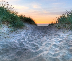Trawa, Morska, Niebo, Plaża