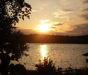 Las, Jezioro, Zachód, Słońca