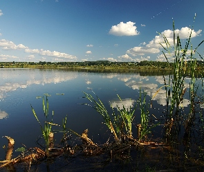 Jezioro, Chmury, Wiosna