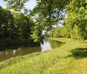 Rzeka, Trawa, Park