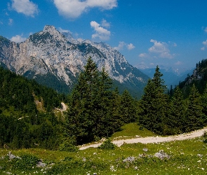 Lasy, Droga, Góry