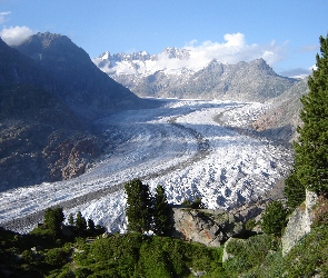 Szwajcaria, Rośliny, Berneńskie, Alpy, Lodowiec, Aletschgletscher