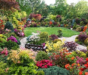 Ogród, Ławka, Kolorowe, Kwiaty, Krzewy