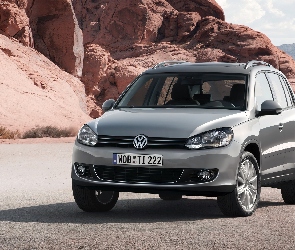 Srebrny, Halogeny, Volkswagen Tiguan