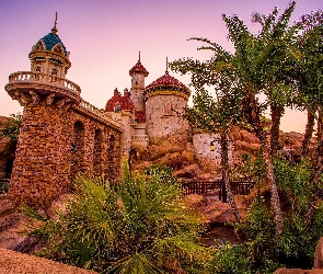 Zamek, Disneyland, Palmy