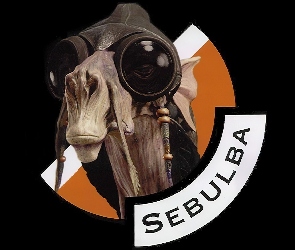 wielbłąd, pilota, czapka, głowa, Star Wars