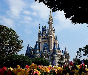 Zamek, Kwiaty, Disneyland