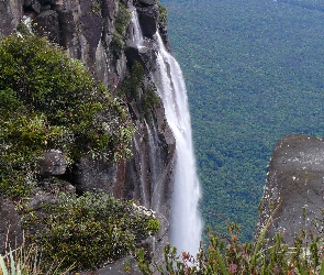 Wodospad, Wenezuela, Salto Angel