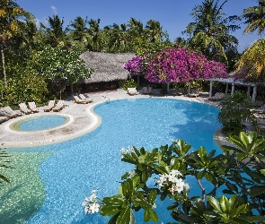 Hotel, Malediwy, Basen