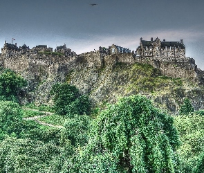 Zamek w Edynburgu, Edinburgh Castle, Drzewa, Edynburg, Skały, Szkocja