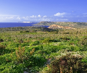 Kwiatki, Klify, Wybrzeże, Zatoka