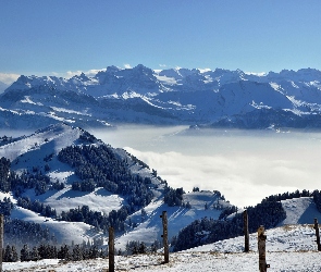 Polana, Lasy, Zima, Góry