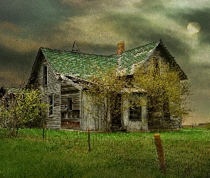 Trawa, Drzewa, Opuszczony, Dom