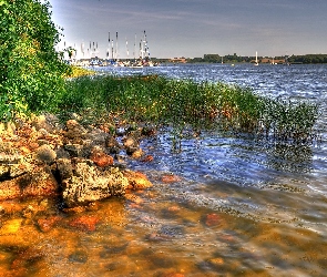 Szuwary, Kamienie, Jezioro, Brzeg
