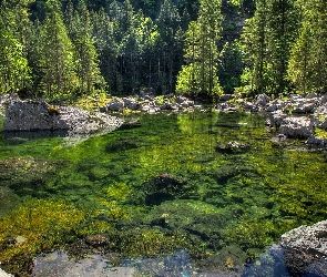 Kamienie, Lasy, Jezioro