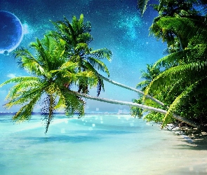 Planeta, Palmy, Morze, Plaża