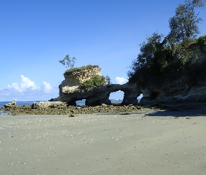 Skały, Drzewa, Plaża, Kamienie, Wybrzeże