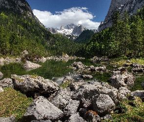 Lasy, Kamienie, Góry, Jezioro