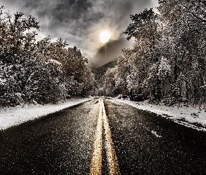Droga, Słońce, Śnieg, Drzewa