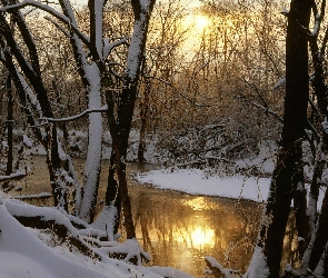 Drzewa, Rzeka, Ośnieżone